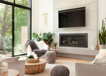 Nature in an Urban Neighbourhood